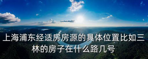 上海浦東經(jīng)適房房源的具體位置比如三林的房子在什么路幾號