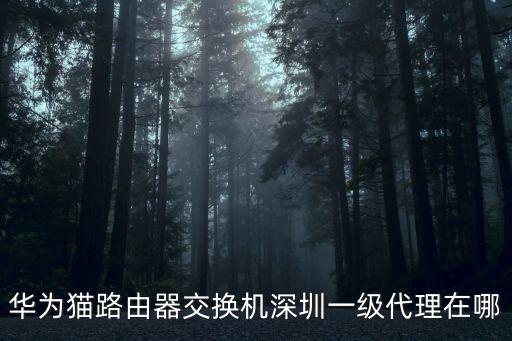 深圳華為交換機經銷商，深圳市福田區(qū)附近哪有華為專賣店