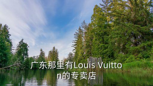 廣東那里有Louis Vuitton的專賣店