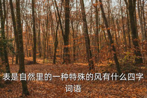 表是自然里的一種特殊的風有什么四字詞語