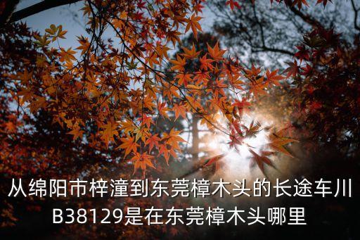 從綿陽市梓潼到東莞樟木頭的長途車川B38129是在東莞樟木頭哪里