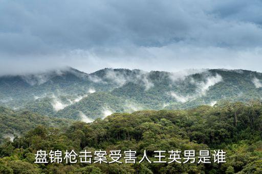 盤錦槍擊案受害人王英男是誰