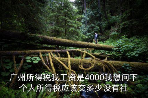 廣州所得稅我工資是4000我想問下個人所得稅應(yīng)該交多少沒有社