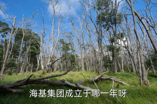 海基集團(tuán)成立于哪一年呀