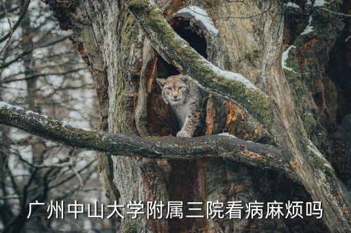 廣州中山大學附屬三院看病麻煩嗎