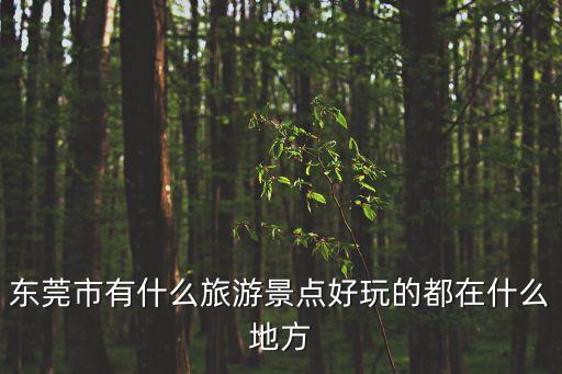東莞市有什么旅游景點好玩的都在什么地方