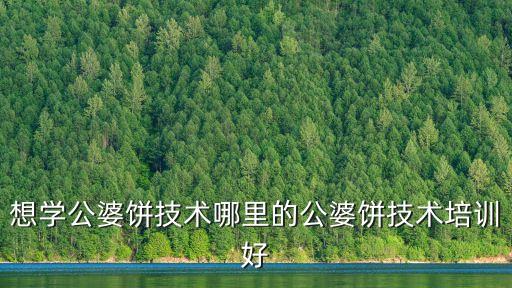 想學公婆餅技術哪里的公婆餅技術培訓好
