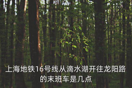 上海市16號線滴水湖站，上海地鐵16號線羅山路到滴水湖段據說在6月份通車是沒問題的可是