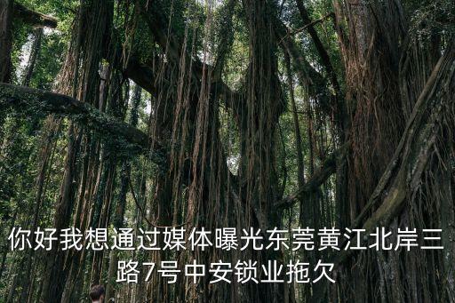 你好我想通過媒體曝光東莞黃江北岸三路7號(hào)中安鎖業(yè)拖欠