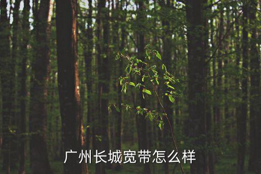 廣州長城寬帶怎么樣