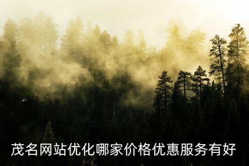 茂名網站優化哪家價格優惠服務有好