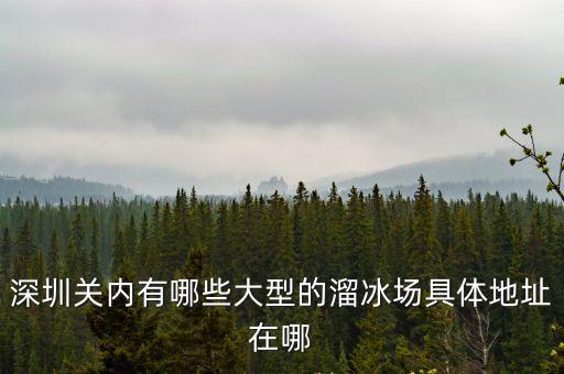 深圳關(guān)內(nèi)有哪些大型的溜冰場具體地址在哪