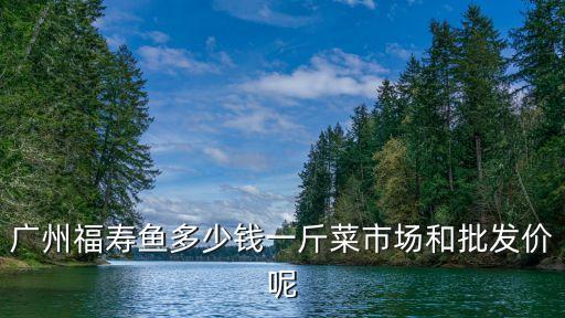 廣州福壽魚多少錢一斤菜市場和批發價呢
