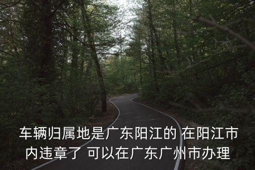  車輛歸屬地是廣東陽江的 在陽江市內(nèi)違章了 可以在廣東廣州市辦理