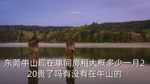 東莞牛山現(xiàn)在單間房租大概多少一月220貴了嗎有沒有在牛山的