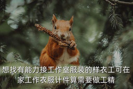 上海市羽絨服招樣衣工，在上海那些網上的樣衣工招聘職位可以直接上門考試嗎