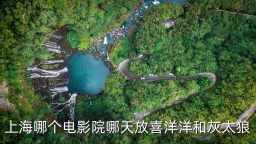 上海哪個電影院哪天放喜洋洋和灰太狼
