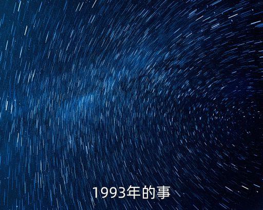 1993年的事