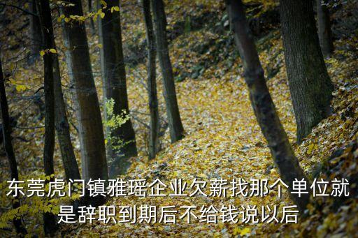 東莞虎門(mén)鎮(zhèn)雅瑤企業(yè)欠薪找那個(gè)單位就是辭職到期后不給錢(qián)說(shuō)以后