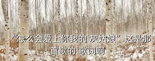 “怎么會愛上你我的 灰姑娘”這是那首歌的 歌詞啊
