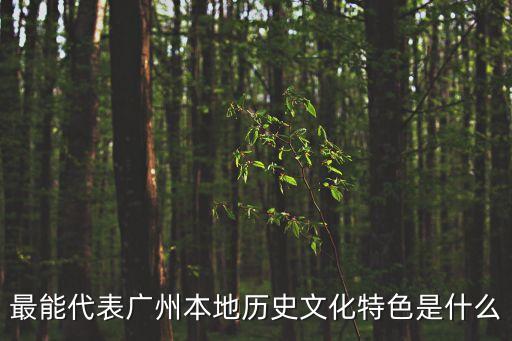 廣州熵能聚合物，最能代表廣州本地歷史文化特色是什么
