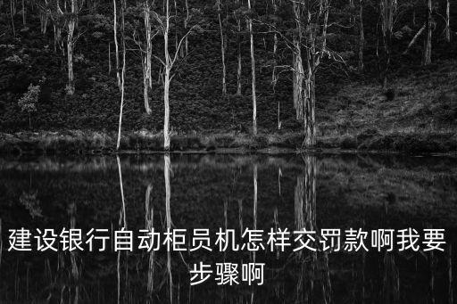 建設銀行自動柜員機怎樣交罰款啊我要步驟啊