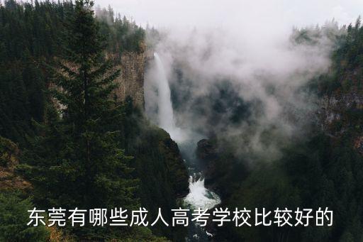 東莞有哪些成人高考學校比較好的