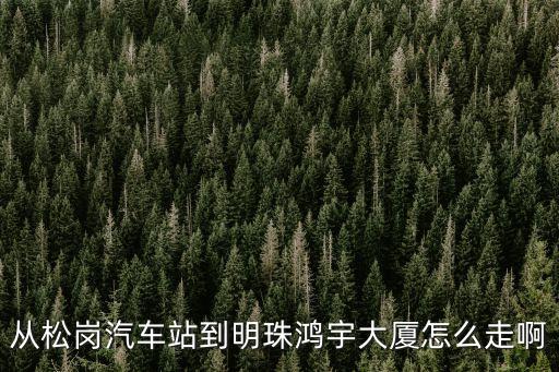 深圳松崗建華宇大廈怎么走，松崗塘下涌坐那路車到寶安區(qū)建安一路78號新華書店大樓