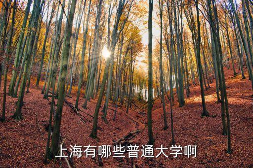 上海有哪些普通大學(xué)啊
