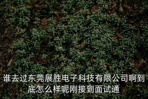 誰去過東莞展勝電子科技有限公司啊到底怎么樣呢剛接到面試通
