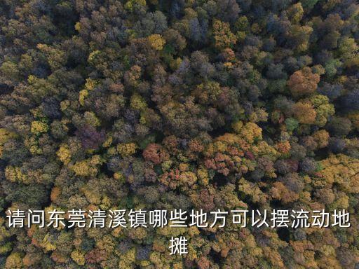 請(qǐng)問(wèn)東莞清溪鎮(zhèn)哪些地方可以擺流動(dòng)地?cái)? class=