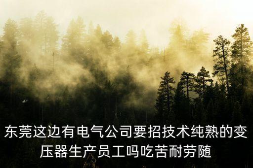 東莞東城成套電氣招聘，東莞這邊有電氣公司要招技術純熟的變壓器生產員工嗎吃苦耐勞隨