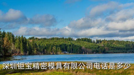 深圳鉅寶精密模具有限公司電話是多少