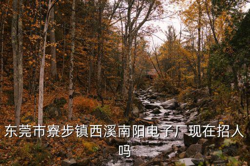 東莞市寮步鎮(zhèn)西溪南陽電子廠現(xiàn)在招人嗎