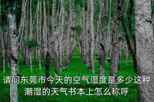 東莞早上空氣有多大，東莞市灰霾天氣空氣指數是多少
