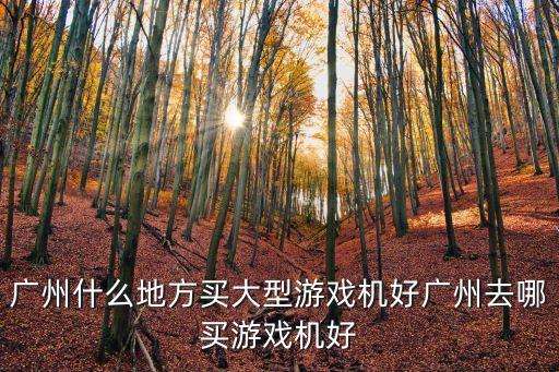 廣州什么地方買大型游戲機好廣州去哪買游戲機好