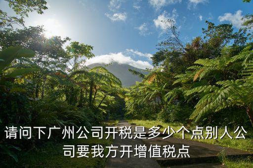 請問下廣州公司開稅是多少個點別人公司要我方開增值稅點