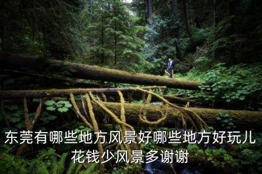 東莞水秀鎮美景，東莞那里風景最美
