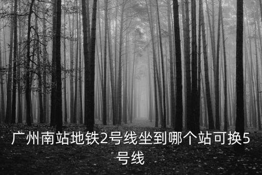 廣州南站換乘五號線，廣州南站地鐵2號線坐到哪個站可換5號線