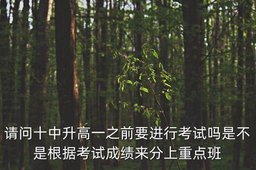 請(qǐng)問(wèn)十中升高一之前要進(jìn)行考試嗎是不是根據(jù)考試成績(jī)來(lái)分上重點(diǎn)班