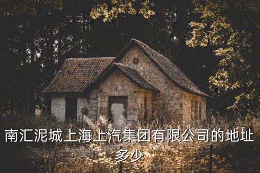 上海市兩港大道2999號，想知道 上海市 上海臨港新城德國倫次 在哪