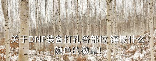 關(guān)于DNF裝備打孔各部位 鑲嵌什么顏色的徽章!