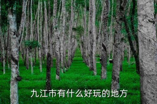 九江旅游景點,江西旅游必去十大景點九江有哪些景點?