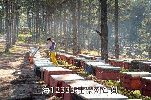 上海市12333社會保障網(wǎng)，上海社會保障12333
