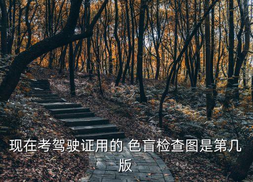色盲檢測圖,色盲檢查圖第四版有哪些圖片?