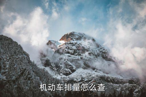 東莞怎么查車輛排量，機動車排量怎么查