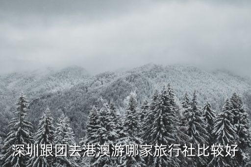 到深圳跟團去港澳旅游，從深圳跟團去香港澳門旅游多少錢