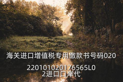 海關進口增值稅專用繳款書號碼020220101020176565L02進口口岸代