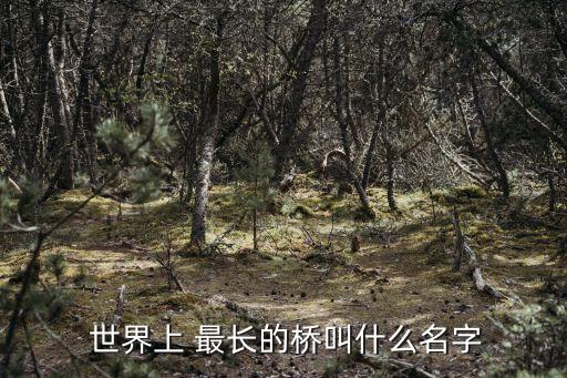 世界上最長的橋梁,目前世界上最長的橋梁