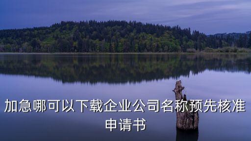 上海市名稱預先核準申請書下載，企業(yè)字號名稱預先核準申請表到哪下載